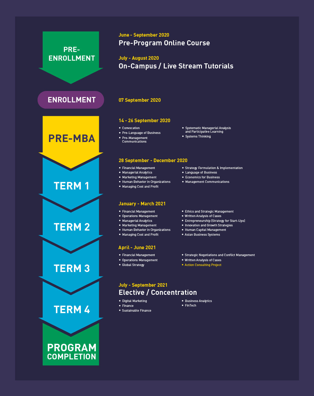 Academic Experience Infographics